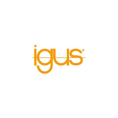iGUS Inc